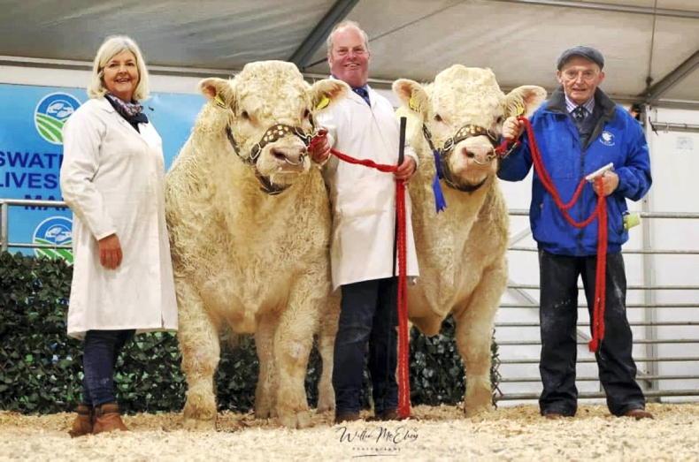 Truly the Truman show at Swatragh as Brigadoon secures 6,400gns - Vimarsana News