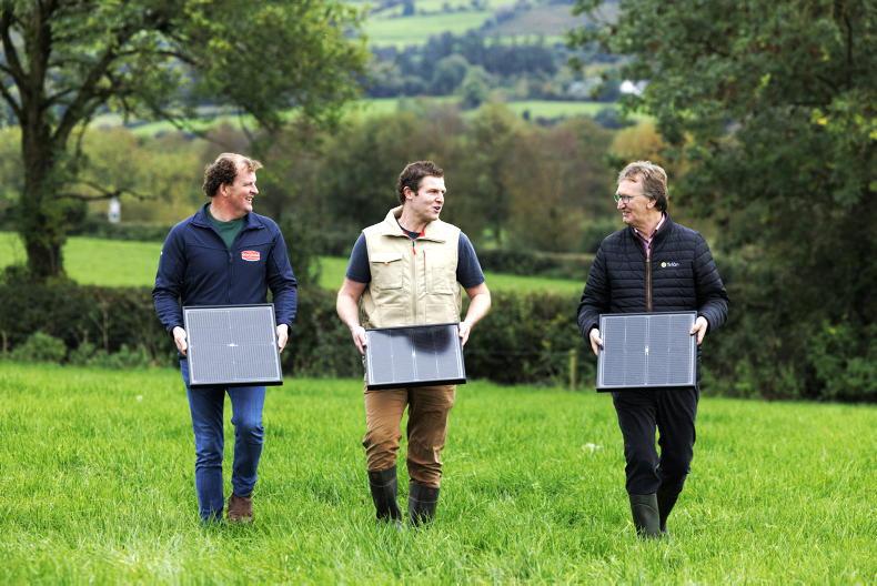 Tirlán and Dairygold join forces on solar venture - Vimarsana News