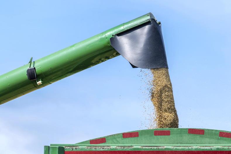 Grain Trends: soya continues upward momentum - Vimarsana News