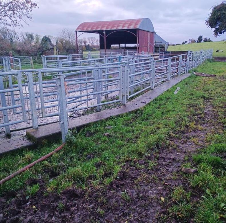 80ac Westmeath farm with fine cattle handling unit - Vimarsana News
