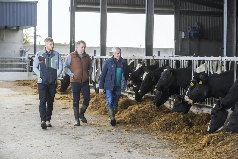 GAIN Pre-Calver Gold success on Laois farm - Vimarsana News