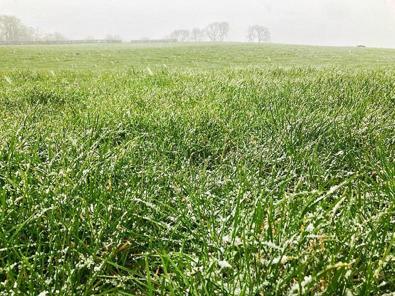Bell rung on final round of grazing for 2023 - Vimarsana News