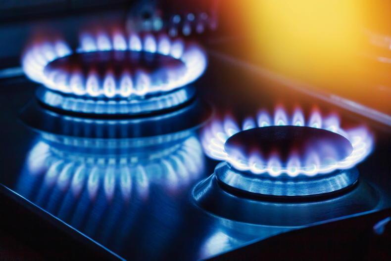 First molecules of biomethane flow in NI gas grid - Vimarsana News