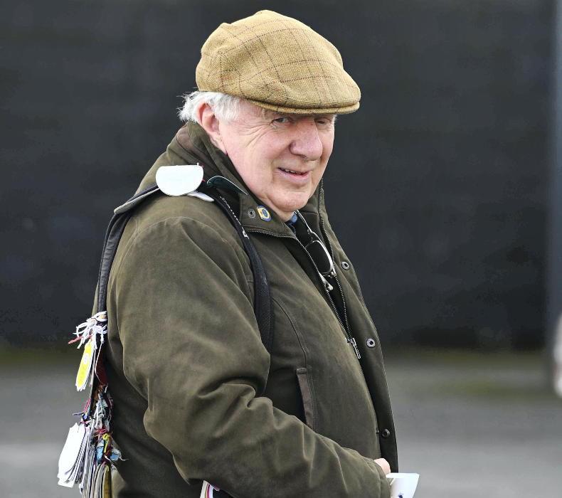 Irish Horse: to acquire wisdom, one must observe