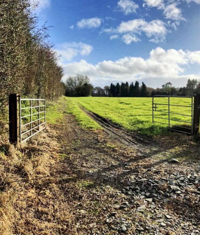 23.4ac of good land in quiet countryside - Vimarsana News