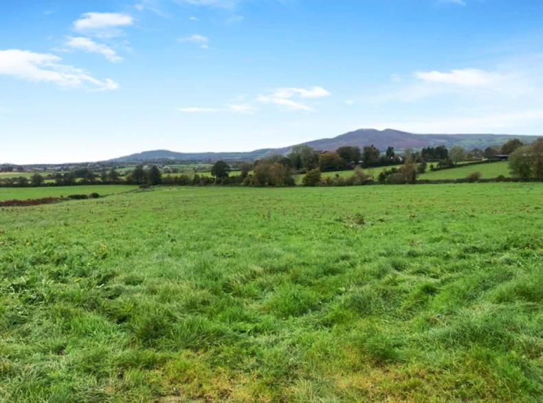 Small land holdings selling well - Vimarsana News