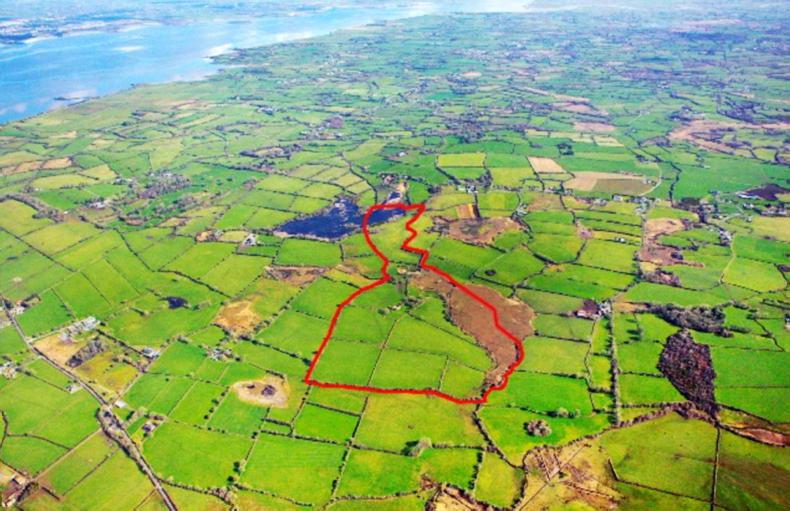 Limerick farm includes portion of open lake - Vimarsana News