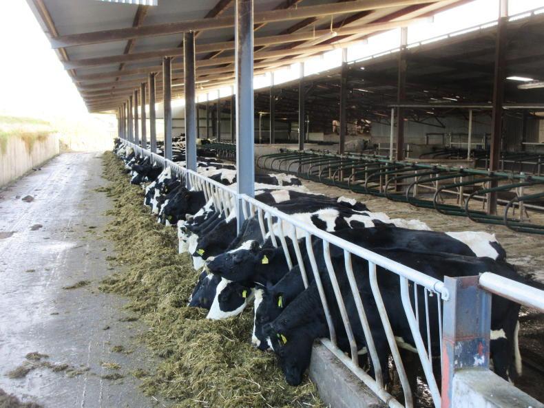 Water quality drop due to animal feed - Vimarsana News
