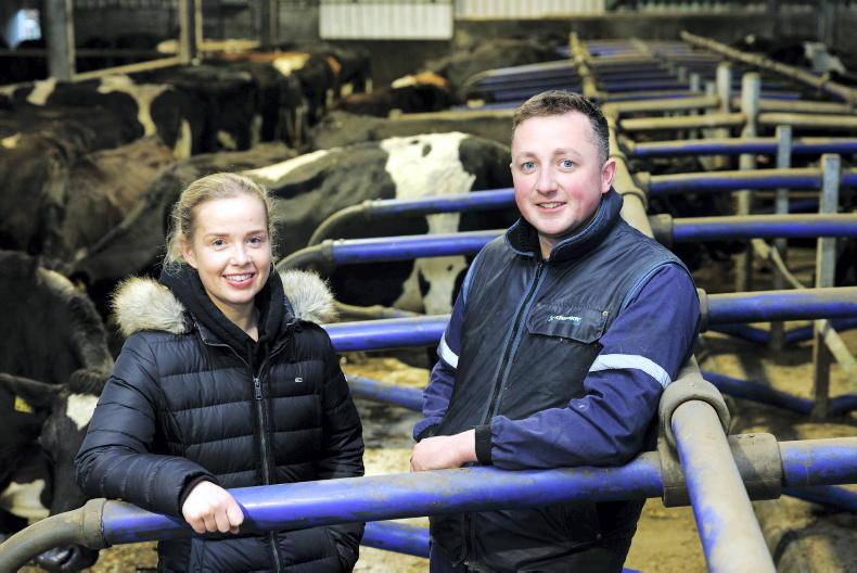 My Farming Week Kieran Dunphy, Lissahane, Kill, Co Waterford Free