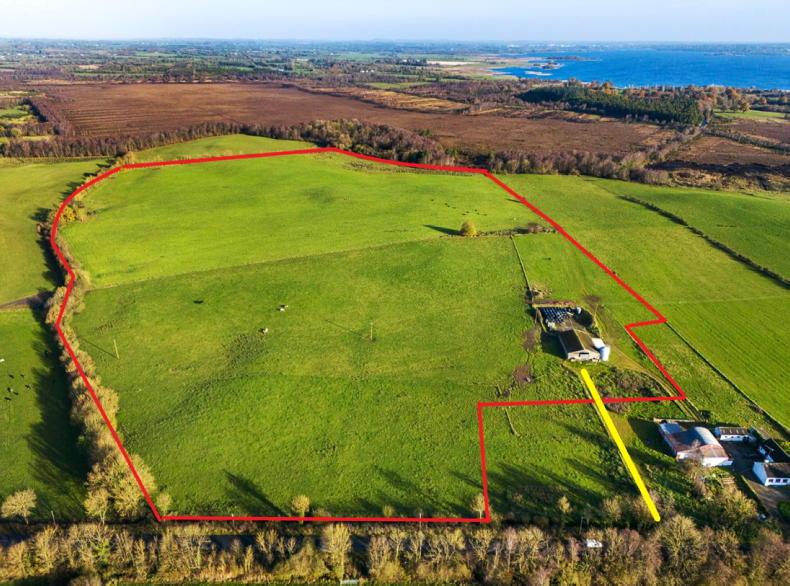 40ac farm in the centre of Ireland - Vimarsana News