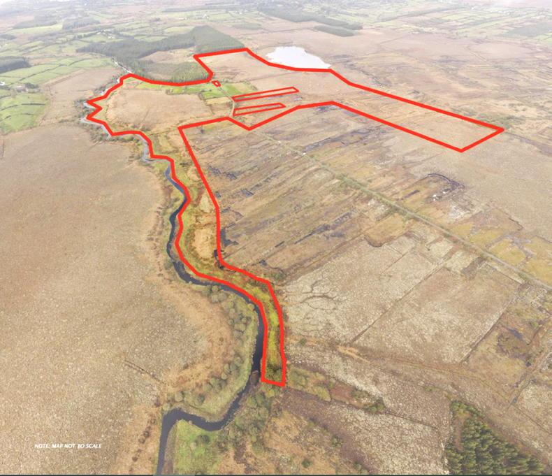 116ac property is haven of biodiversity - Vimarsana News