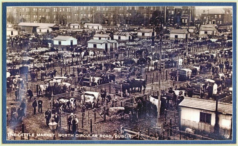 Selling cattle through lockouts, bombs and bullets