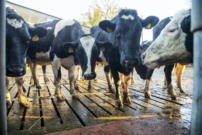 NI milk prices head in right direction - Vimarsana News