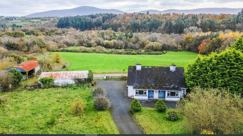 Hidden gem on Kilkenny and Carlow border - Vimarsana News
