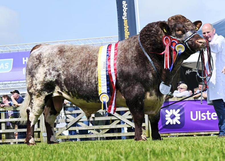 Shorthorn Society appoint new secretary - Vimarsana News