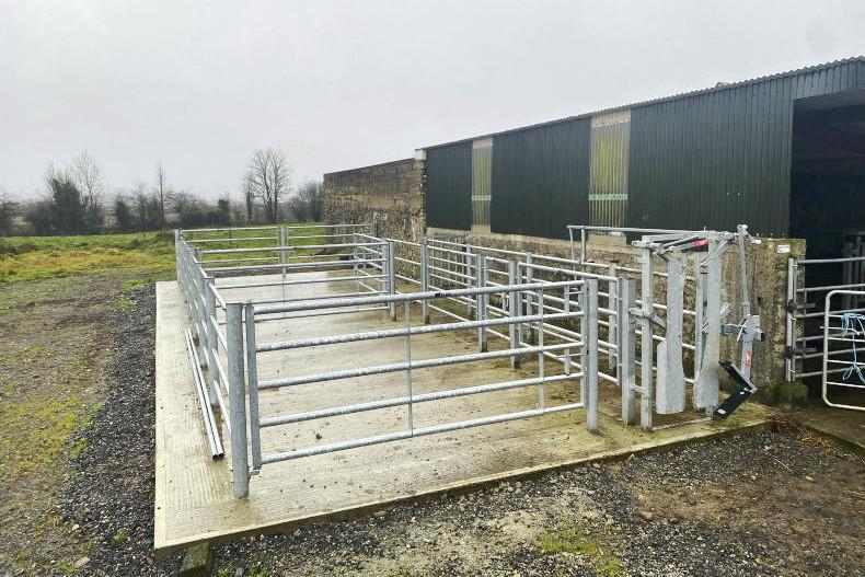 Heavy duty handling unit improves safety for Mayo suckler herd