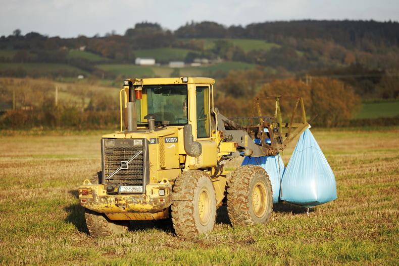 Teagasc warns of 'unprecedented' seed shortage - Vimarsana News