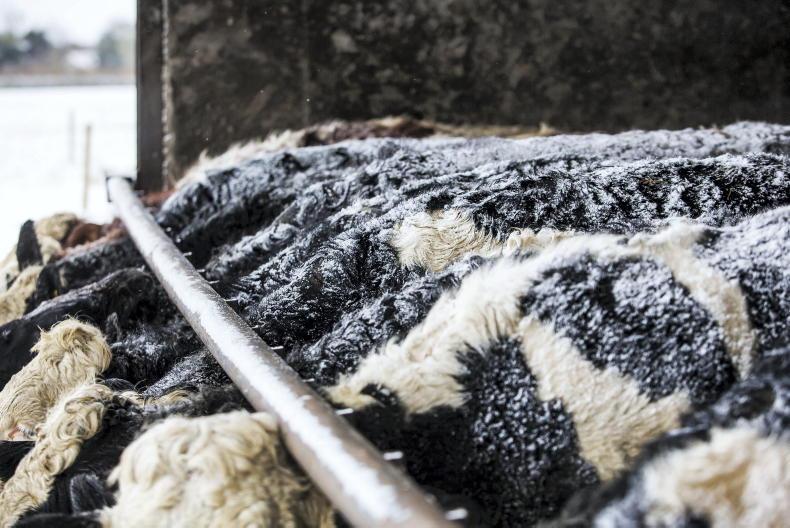 Safety must be 'priority' on farms at Christmas, with 15 deaths so far this year - Vimarsana News