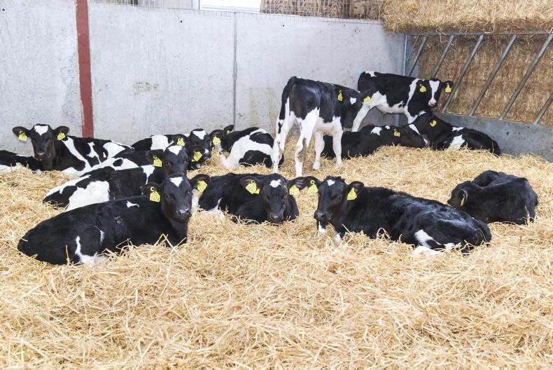 Volac Milk Replacer acquired by Dutch company - Vimarsana News