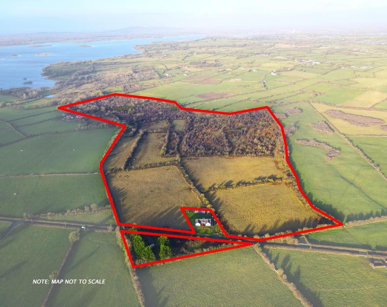 Renovation project by the broad majestic Shannon new to the market