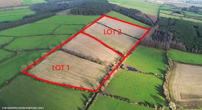 Farmer bidders active for Aughrim land