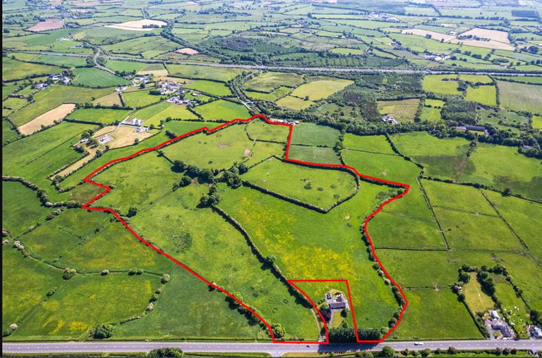 Co Westmeath farm makes an impressive €650,000 at auction