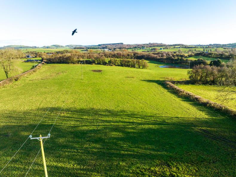 Considerable interest in pair of Co Meath small holdings Free