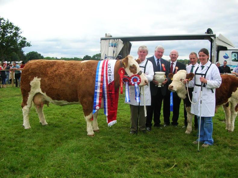 Seepa steeped in all things Simmental success - Vimarsana News