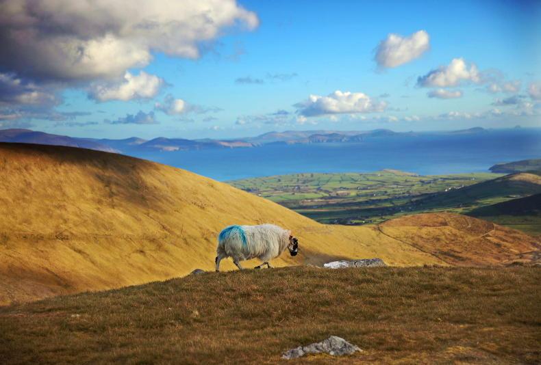 Decision 'not near ready' on State purchase of Conor Pass - Noonan - Vimarsana News