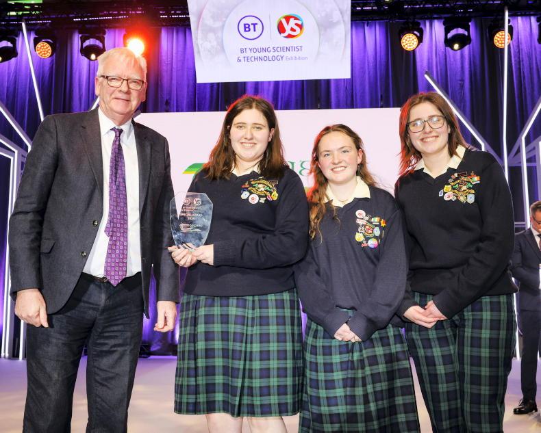 Ash dieback project triumphant at Young Scientist - Vimarsana News