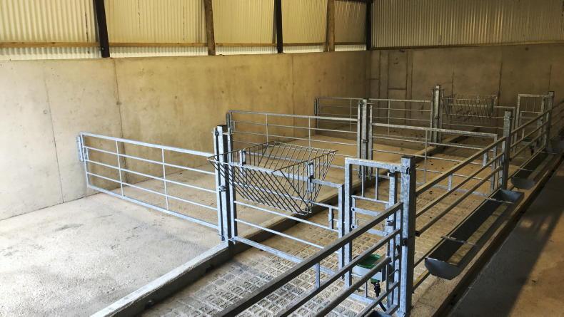 Round roof retrofit ticking the box for calf housing in Cork - Vimarsana News