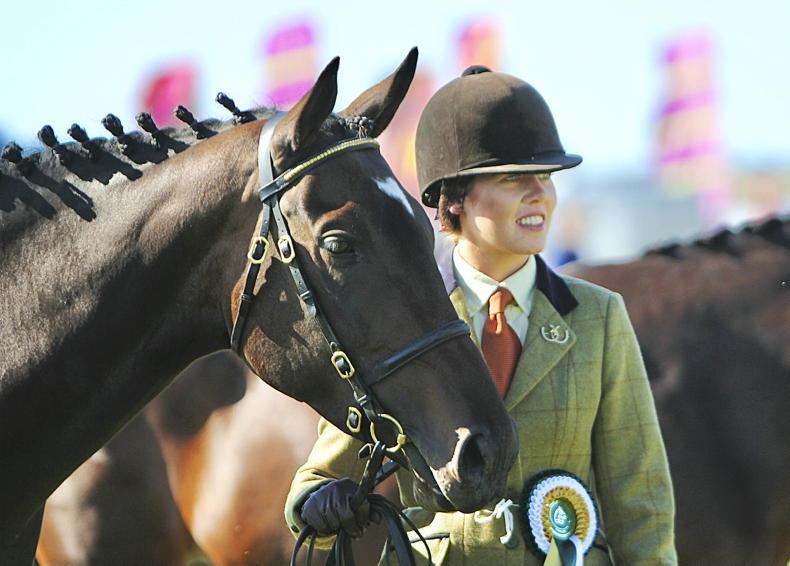 Irish Horse Ringside Stories: the real deal of Roscommon