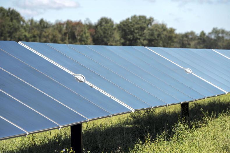 My solar farm lease has been sold, what can I do? Free