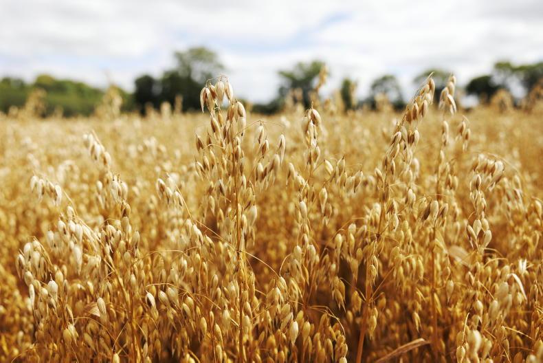 Net loss of €178/ha through use of Supersoil fertiliser - Teagasc - Vimarsana News