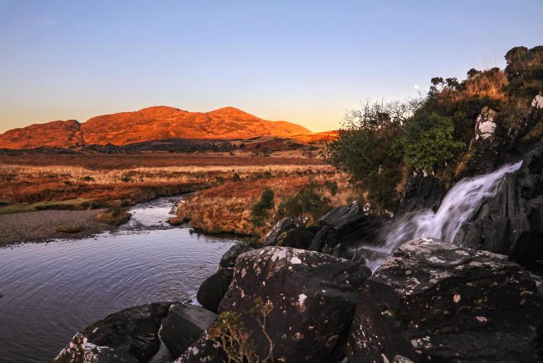 State to snap up more land for nature - Vimarsana News