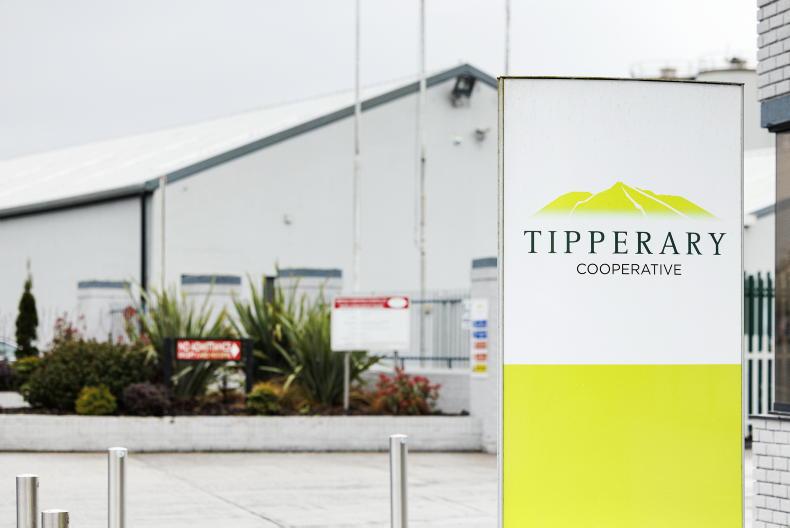 Tipperary still has time and management say they have a plan - Vimarsana News