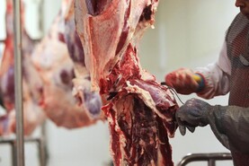 Review into labour retention in meat sector Review into labour retention in meat sector