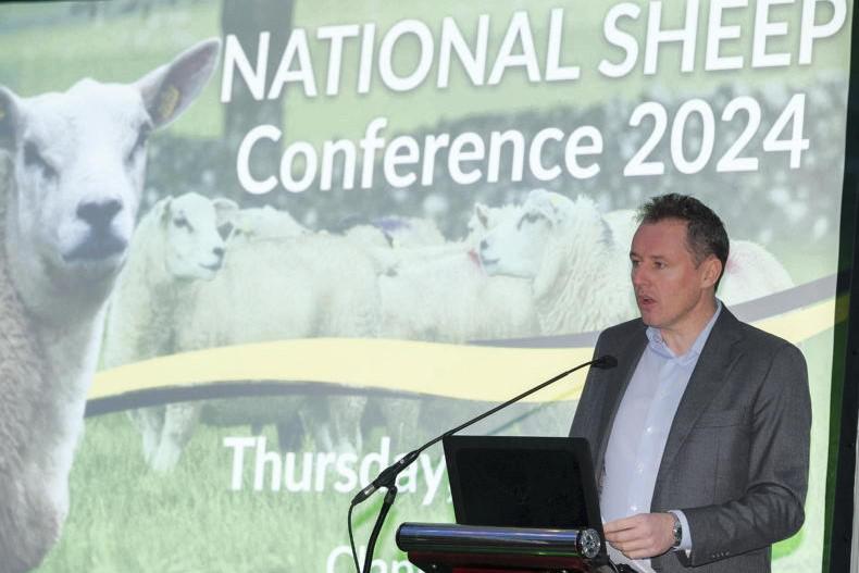 New €8/ewe sheep scheme measures revealed - Vimarsana News