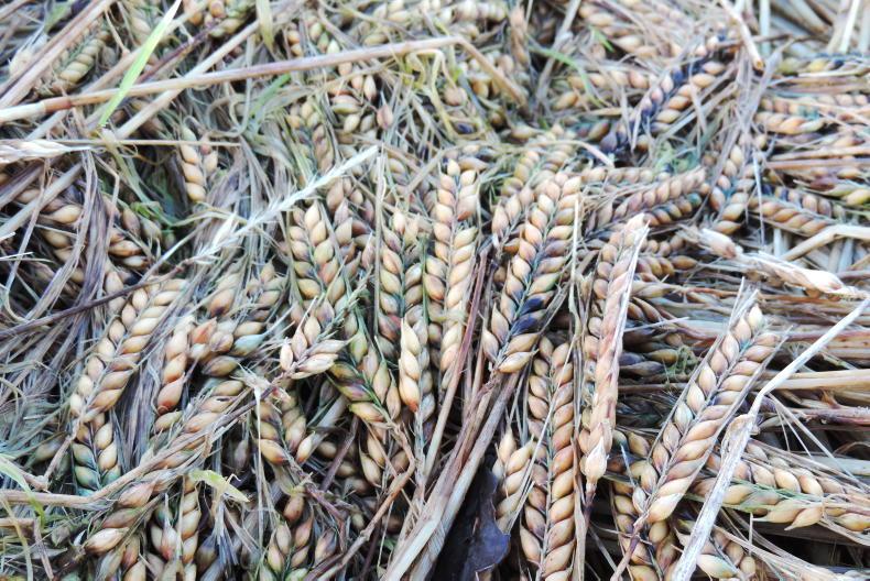 IFA demands new tillage incentive scheme for 2024 - Vimarsana News
