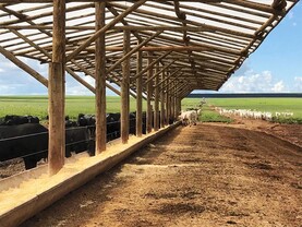 Ministers' charm on St Patrick’s Day Ministers' charm on St Patrick’s Day