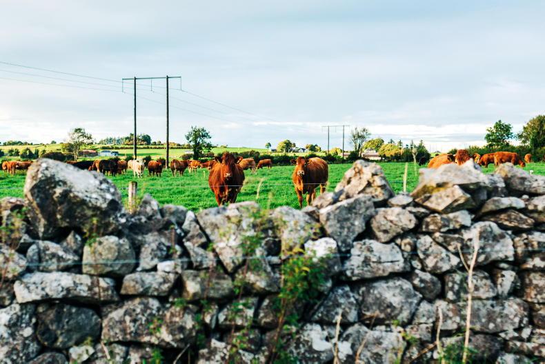 Farmers in the dark over delayed Farm Plan Scheme payments – IFA - Vimarsana News