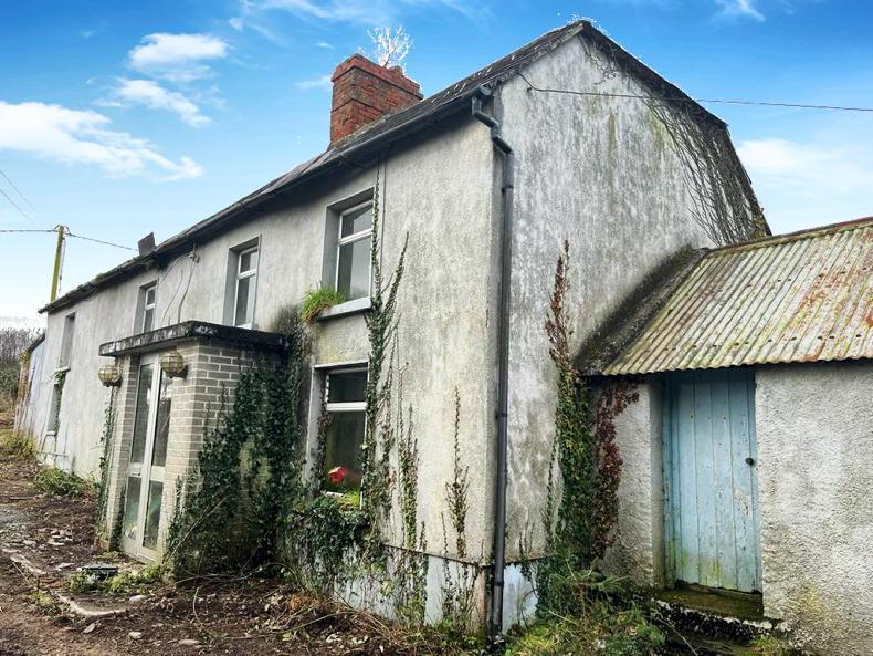 In pictures: 43ac Wexford farm with something for everyone - Vimarsana News