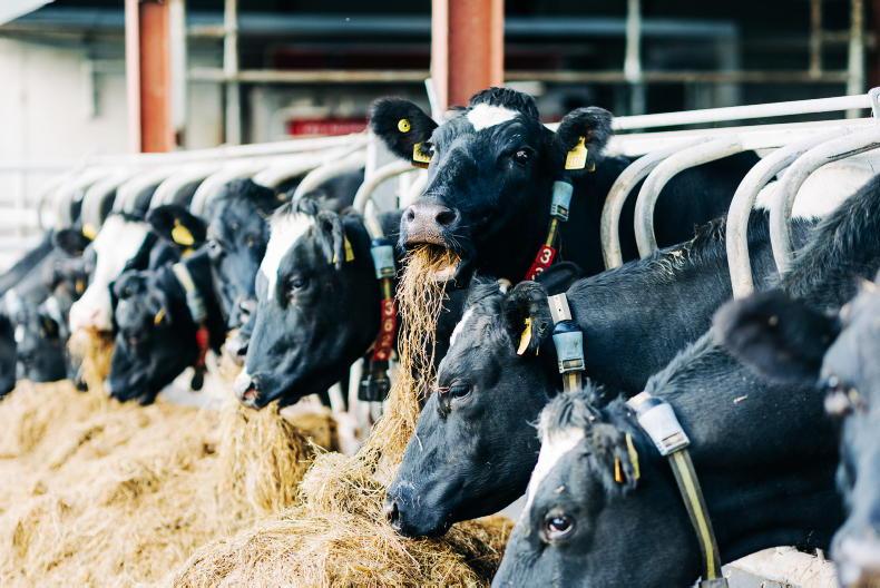 Lakeland and Dale Farm increase January prices - Vimarsana News