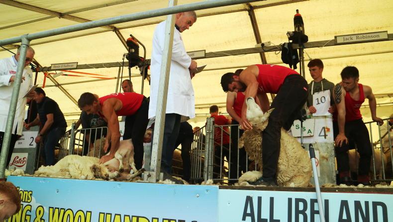Mountbellew to host all-Ireland shearing championships