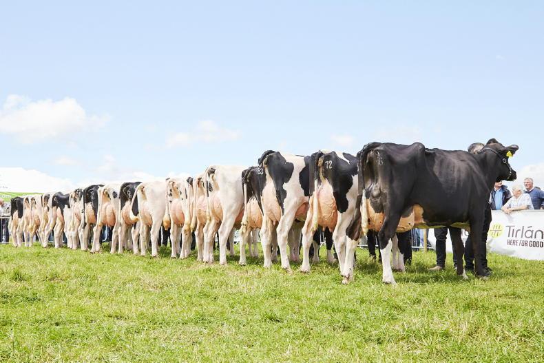 Upcoming IHFA sale dates for your diary - Vimarsana News