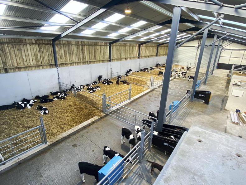 Watch: new 170-calf shed in the Déise future-proofs farm