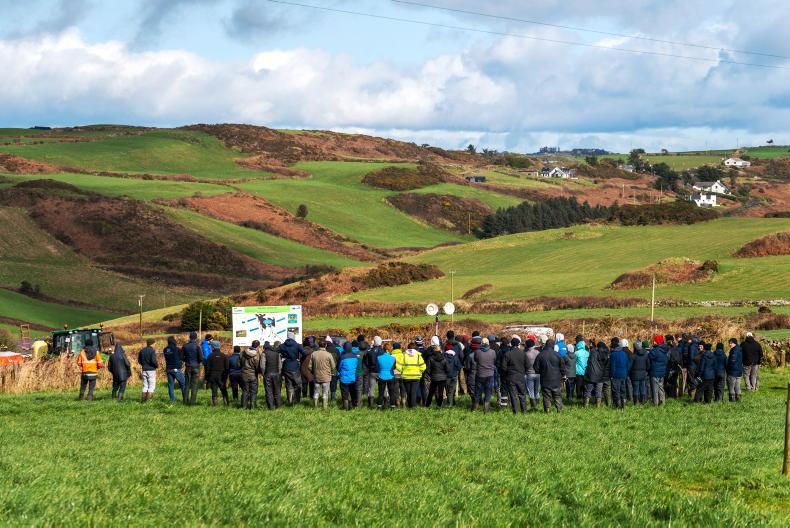 Dairy beef on the edge - Vimarsana News