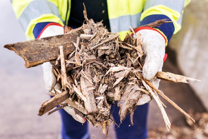 Mayo biomass plant to use almost 200,000t of imported woodchips