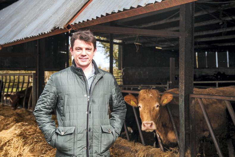 My Farming Week: David Fay, Rathnamuddagh, Mullingar, Co Westmeath