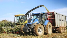 Premier county contractor with prize-winning talents Premier county contractor with prize-winning talents